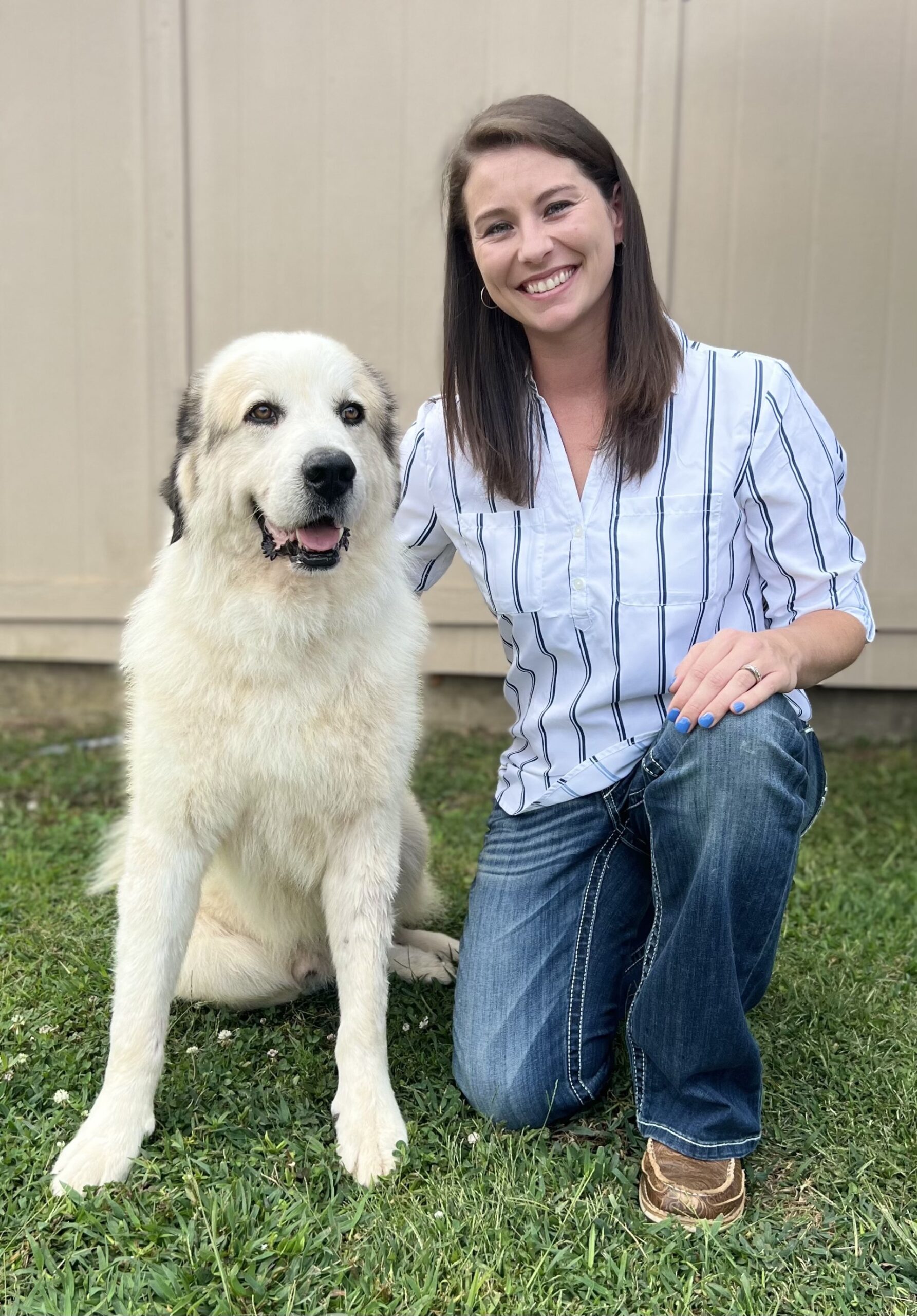 All Creatures Veterinary Services
